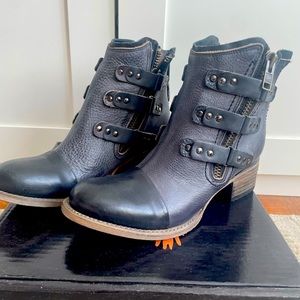 BRAND NEW FREEBIRD Grecko